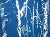 grass-pattern